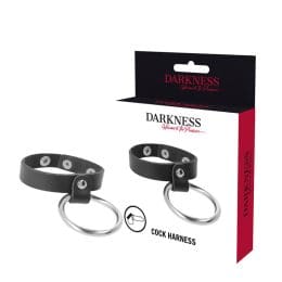 DARKNESS - METAL RING FOR THE PENIS AND TESTICLES 2